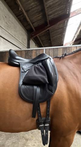 Selle de dressage &Eacute;quipe mod&egrave;le Olympia (2019) &ndash; 17"