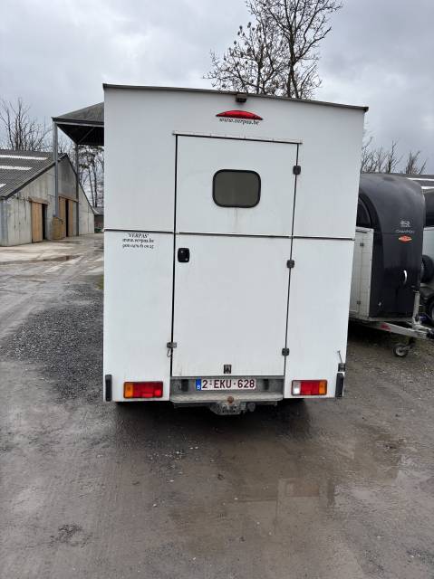 Camion chevaux Opel Movano