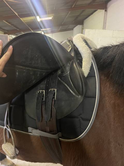 Selle forestier taille 17