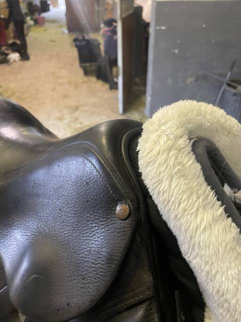 Selle forestier taille 17