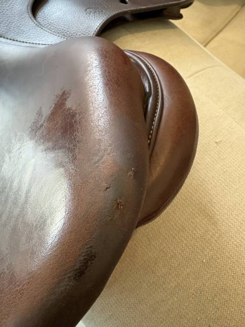 Selle d&rsquo;obstacles Antar&eacute;s