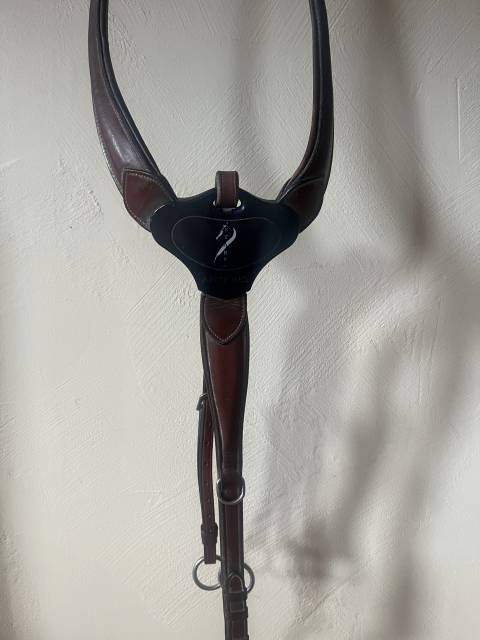 Collier de chasse antares 