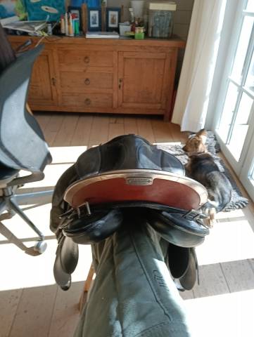 Selle Stubben Scout 17"5