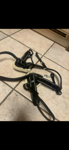 collier de chasse QHP cob noir