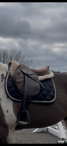 Selle forestier 17,5&rsquo;