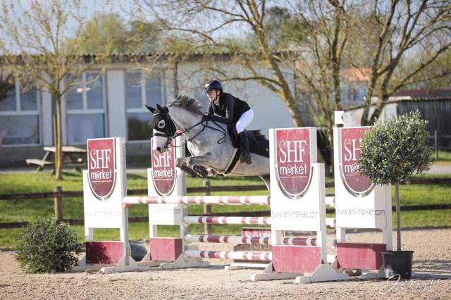 Poney de 6 ans PFS - 148cm - fils de UHELEM DE SEILLE