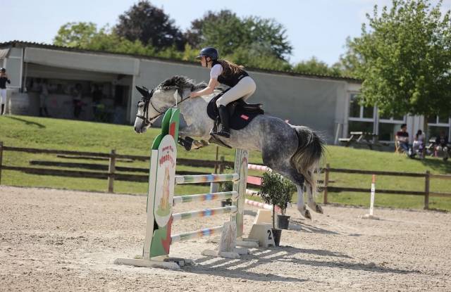Poney de 6 ans PFS - 148cm - fils de UHELEM DE SEILLE
