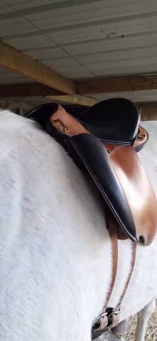 Selle Muze Gaston Mercier 