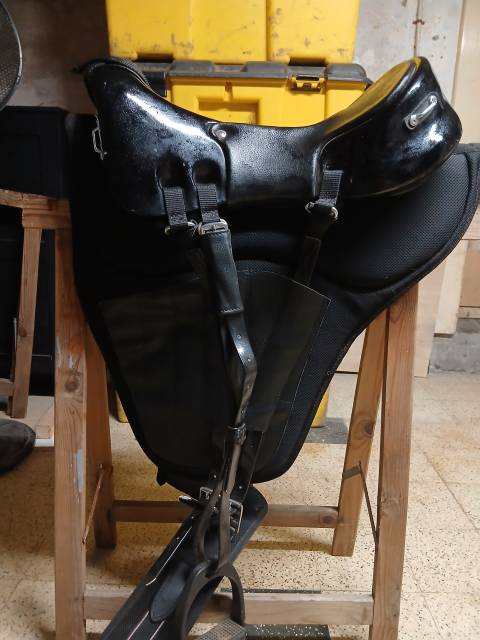 Selle.endurance Zaldi