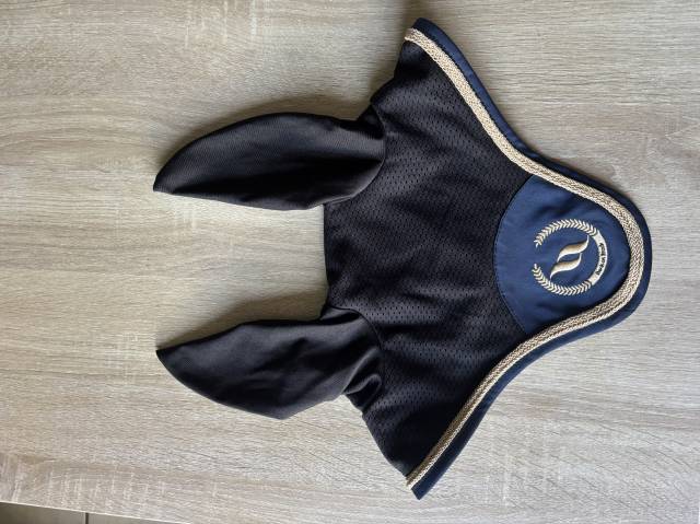 Ensemble Back On Track