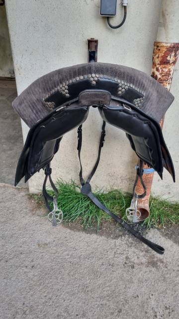 Selle portugaise 