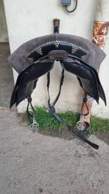 Selle portugaise 
