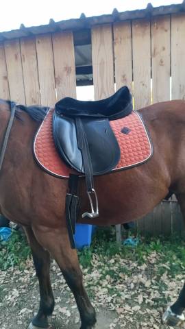 Selle de dressage Tekna