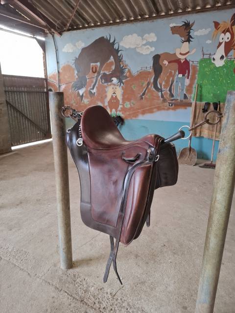 Selle de dressage portugaise