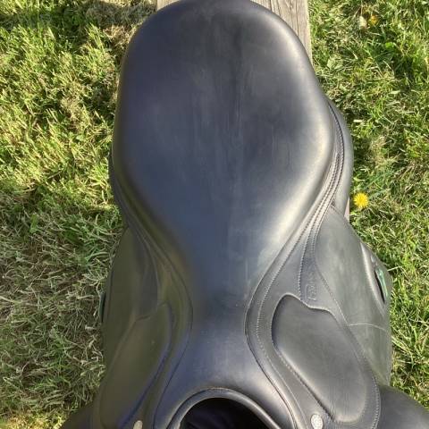 Selle dressage 