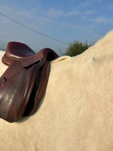 Selle Ikonic &eacute;lite line 17