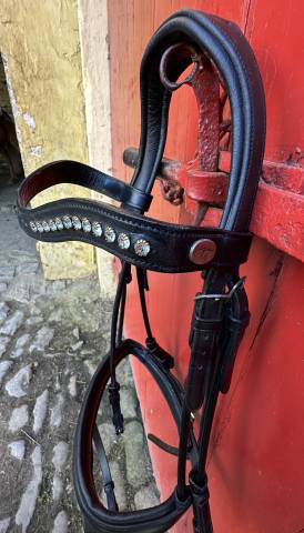 Bridon Dy&rsquo;on COB 