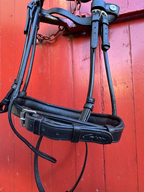 Bridon Dy&rsquo;on COB 