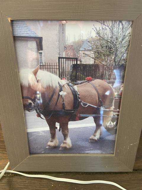 Vend harnais d&rsquo;attelage 