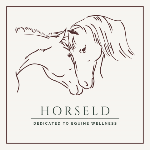 Horseld - Bien-&ecirc;tre du bin&ocirc;me cheval-cavalier