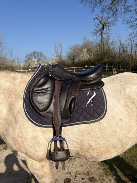 Selle rebelle (forestier)