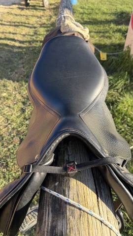 Selle mixte Equestro 17,5