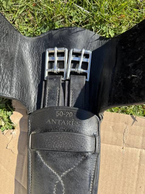 Sangle courte Antares