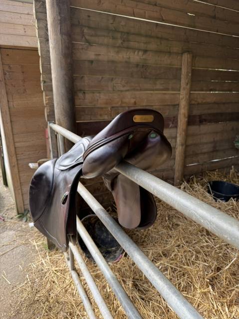 Selle Amerigo Pinerolo 17,5 