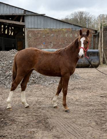 M&acirc;le 1 an par Kannan