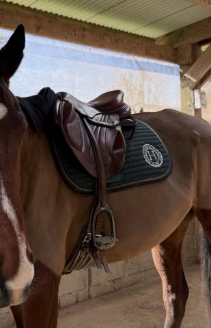 Selle Cwd monoquartier 