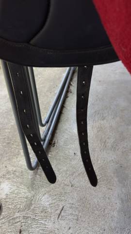 Selle Albion revelation red label