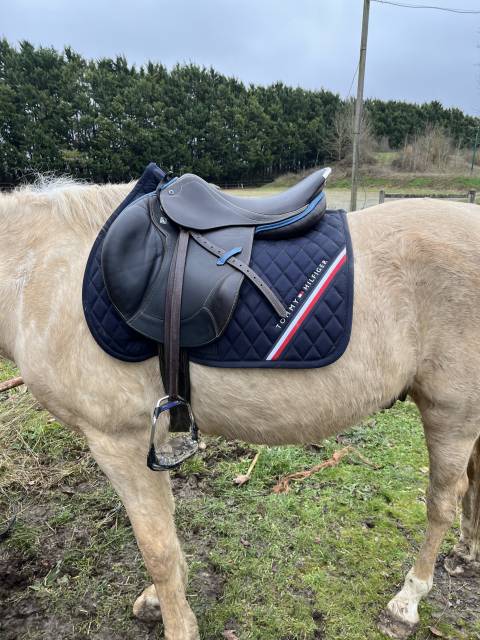 Selle CSO St&uuml;bben