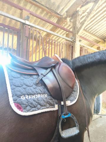 Selle CWD 16,5 pouces 