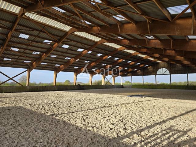 Haras Chevaux de Sport - Centre de Reproduction - &eacute;levage et va