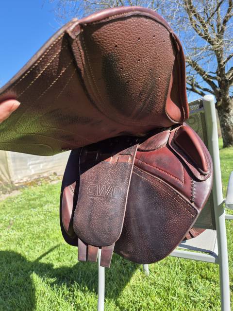 Selle CWD  quartiers 2C normaux