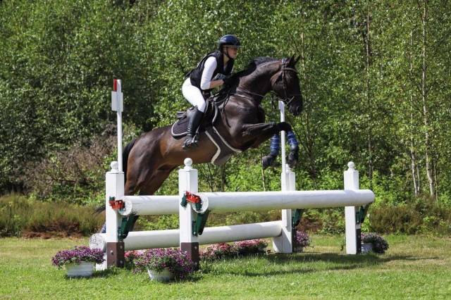 Duke hanovrien 12ans cce