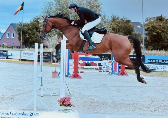 Superbe Jument 9 ans 