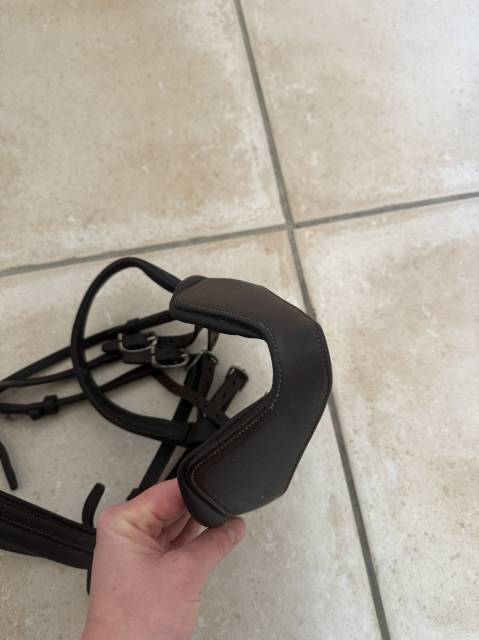 Filet Antares anatomique 