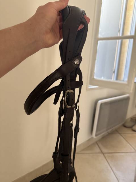 Filet Antares anatomique 