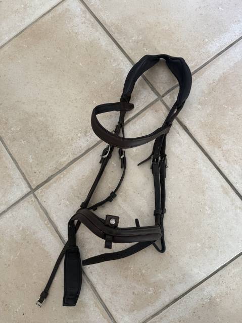 Filet Antares anatomique 