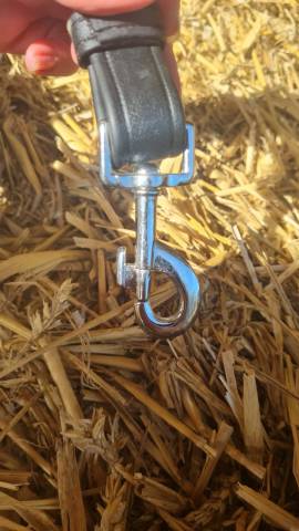 Bride Biothane Trotteur