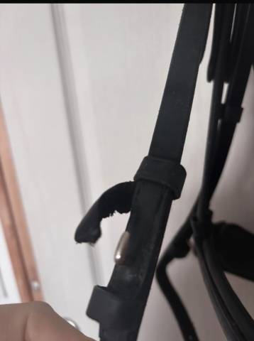 Bride de dressage + r&ecirc;nes 