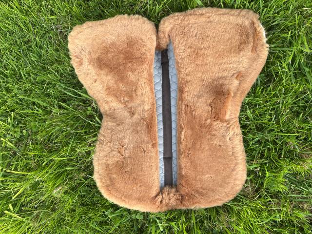 Amortisseur Mattes Dressage M