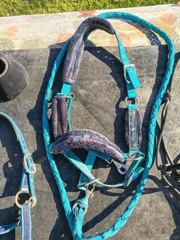 Mat&eacute;riel &eacute;quitation 