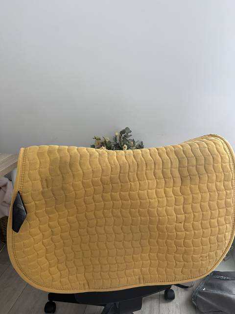 tapis jaune felix buhler