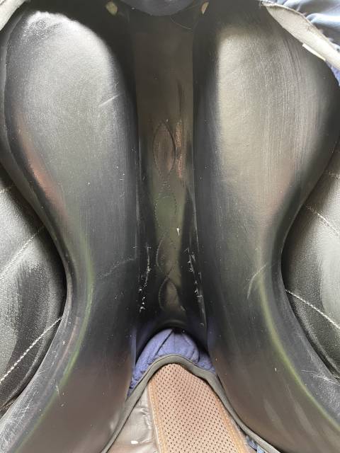 Selle de dressage ANTARES