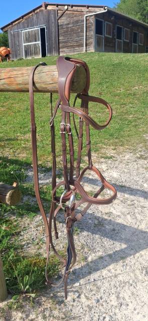 Bridon anatomique Pr&eacute;cision muserolle Y Antar&egrave;s