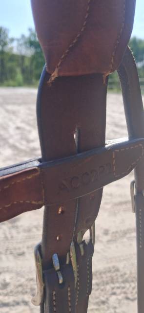 Bridon anatomique Pr&eacute;cision muserolle Y Antar&egrave;s