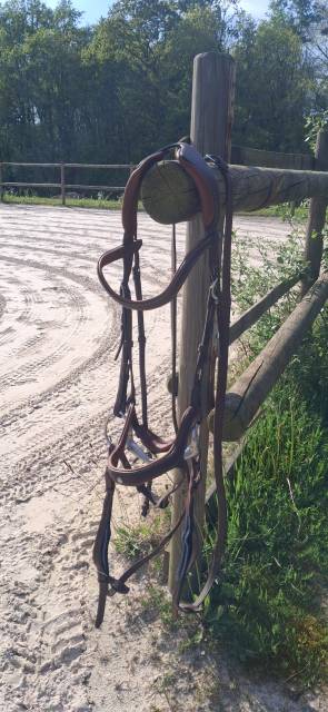 Bridon anatomique Pr&eacute;cision muserolle Y Antar&egrave;s