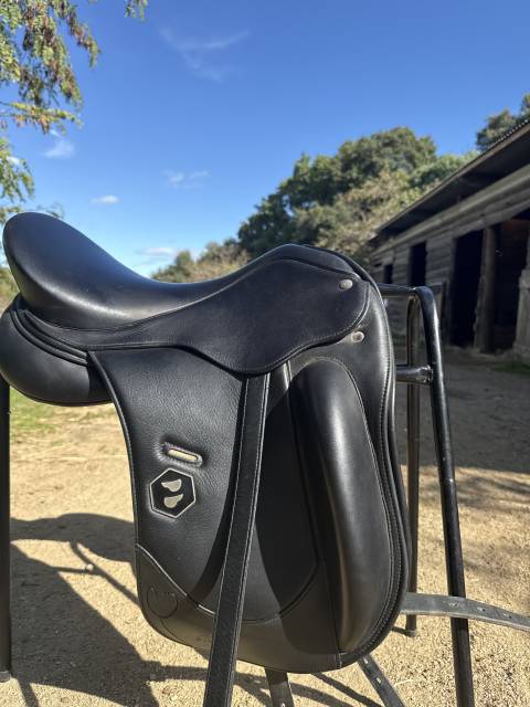 Dressage platinium Time rider 16,5 pouces noir